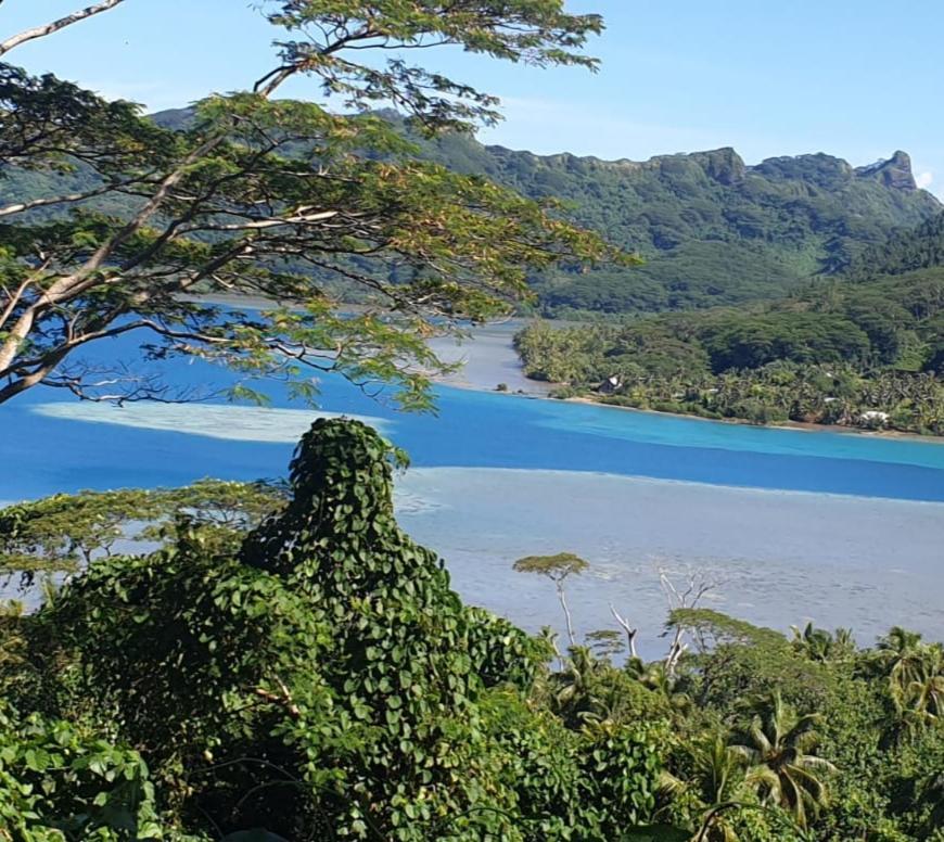 Huahine Manta Lodge Avec 4X4 Optionnel Haapu Buitenkant foto