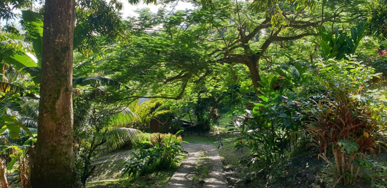 Huahine Manta Lodge Avec 4X4 Optionnel Haapu Buitenkant foto