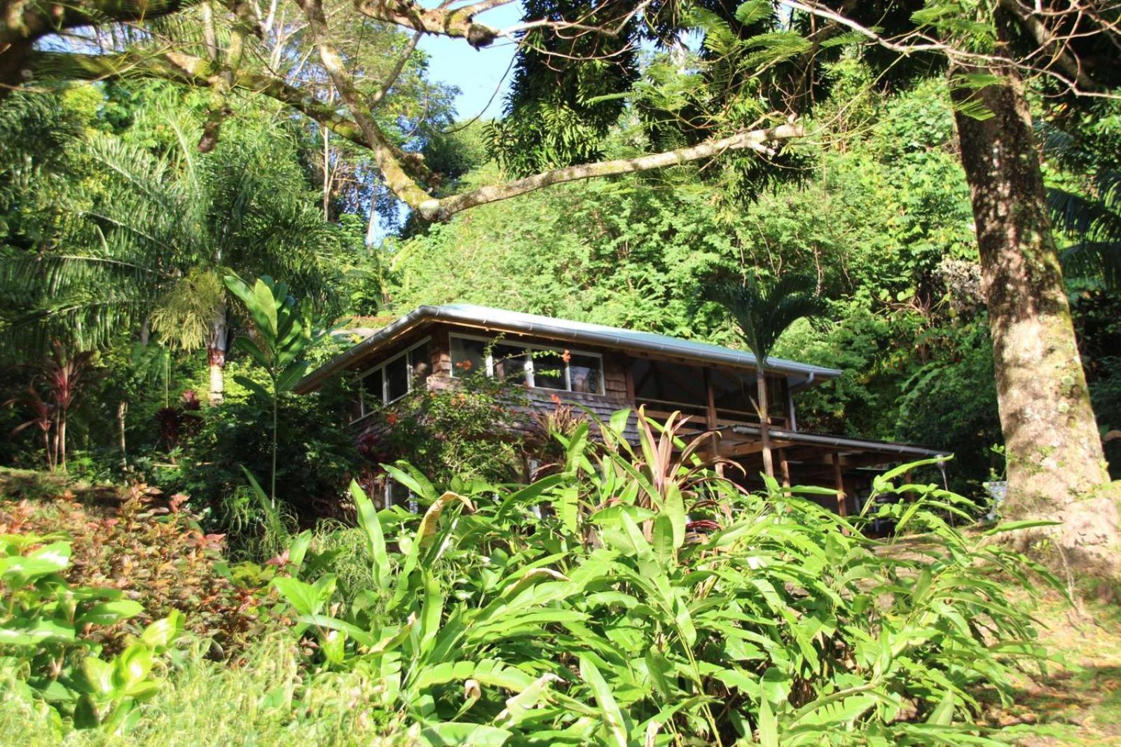 Huahine Manta Lodge Avec 4X4 Optionnel Haapu Buitenkant foto