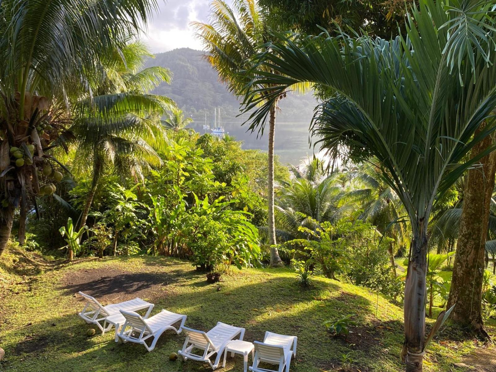 Huahine Manta Lodge Avec 4X4 Optionnel Haapu Buitenkant foto