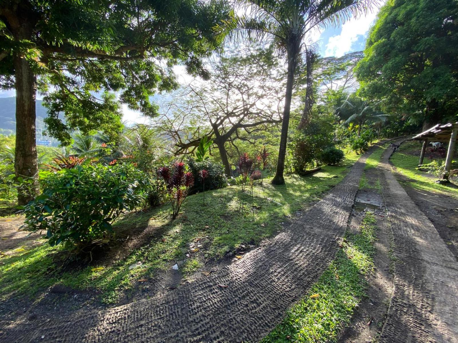 Huahine Manta Lodge Avec 4X4 Optionnel Haapu Buitenkant foto