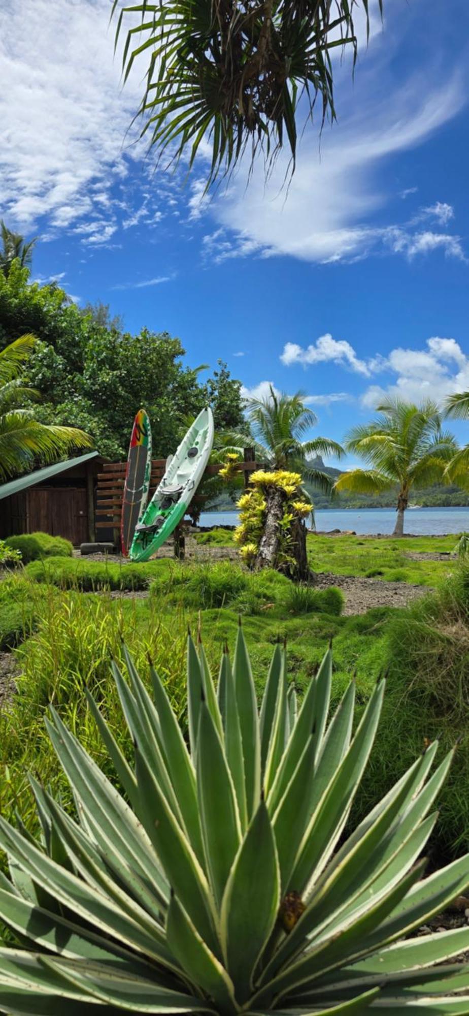 Huahine Manta Lodge Avec 4X4 Optionnel Haapu Buitenkant foto